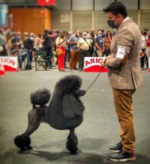 Rubén Sánchez con Oprah