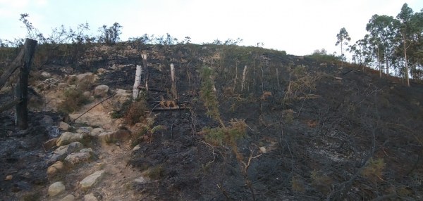Así quedó el terreno calcinado por las llamas