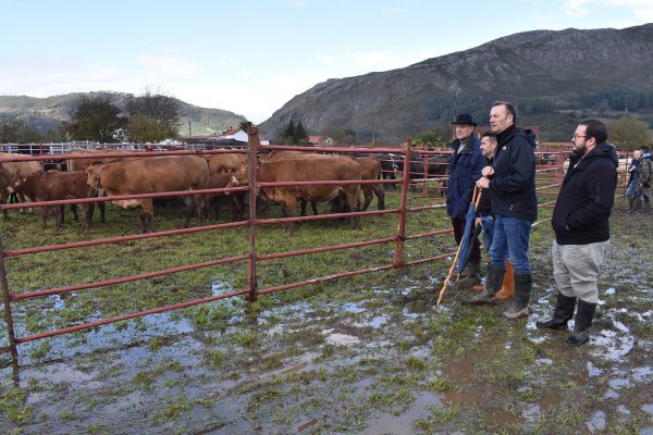 El consejero ha asistido a la Feria Exposición de Ganado de San Felices junto al alcalde y parte del gobierno local