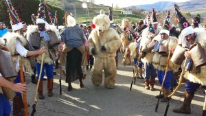 Zarramacos  y el Oso