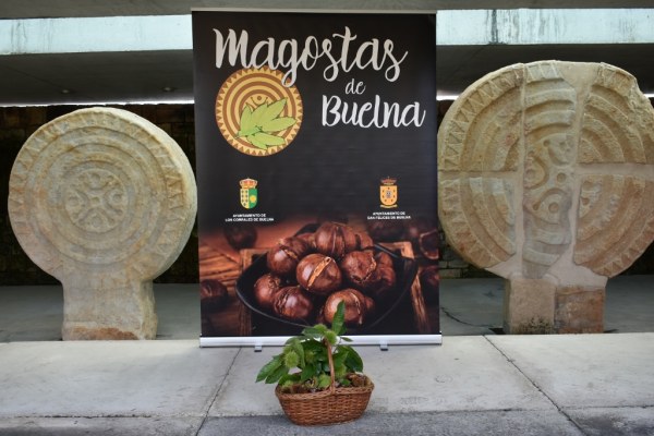 Una nueva fiesta de interés regional en la comarca