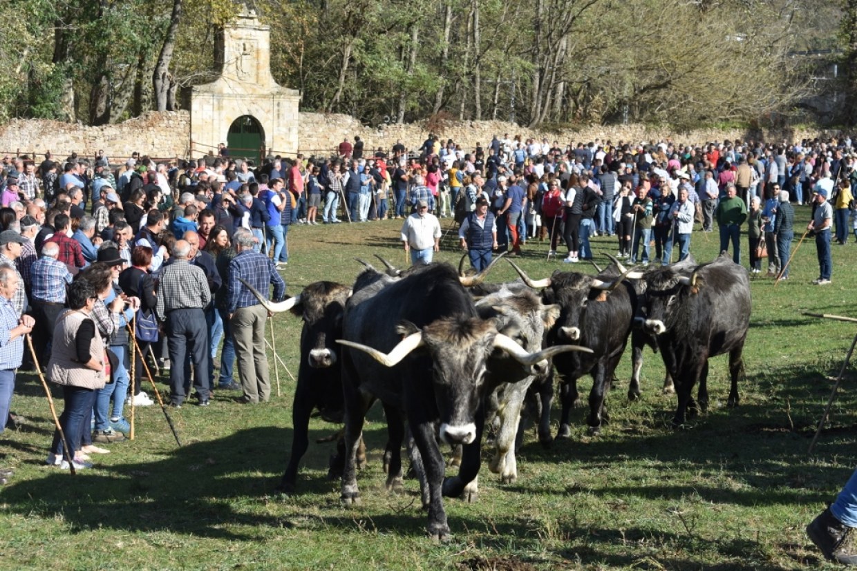 Entrada al recinto feria de una de las cabañas