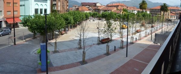 Centra su crítica en la &quot;falta de atención&quot; a los árboles, nueve  de ellos secos