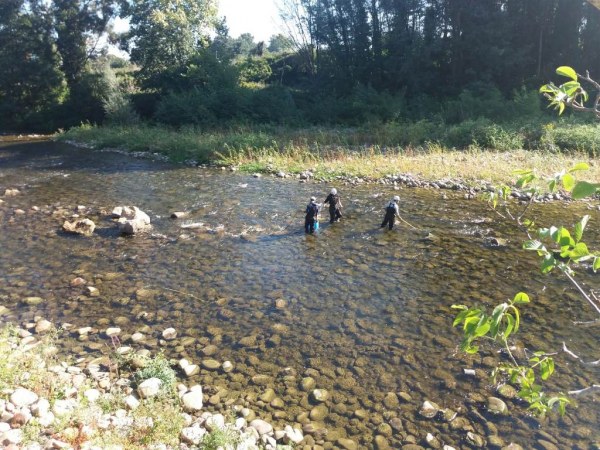 Pesca eléctrica en el río en Cartes