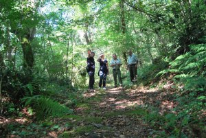 Calzada romana de Fresneda