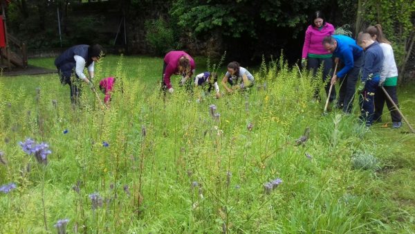Jardín para mariposas junto a las escuelas de Bárcena