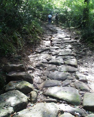 El Ayuntamiento busca financiación para poner en valor la calzada romana