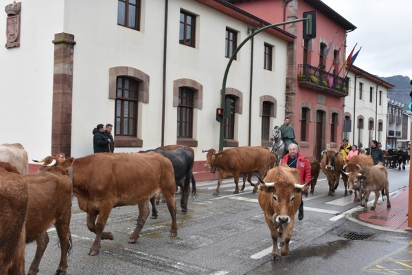 Feria de San Felices en 2019