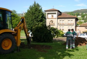 Planes de creación de empleo