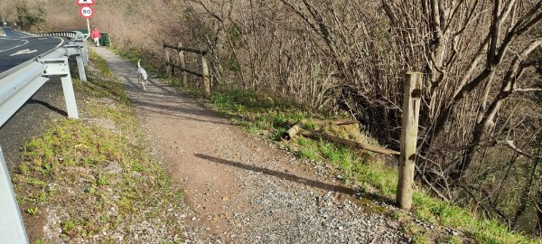 Uno de los tramos afectados por actos vandálicos en la senda fluvial del Besaya