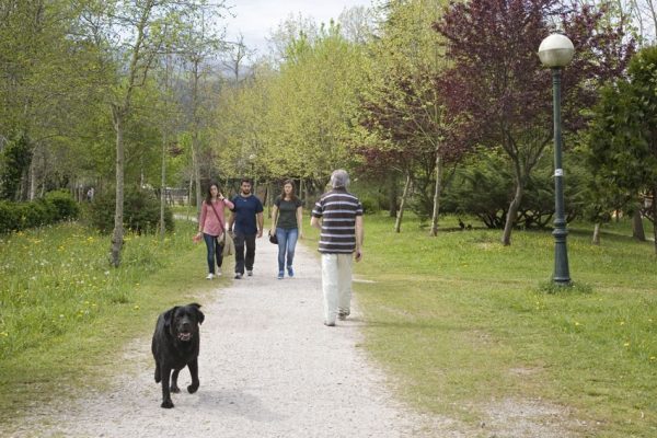 La marcha finalizará en el parque del Ansar