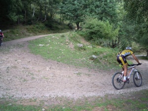 Imágen de la edición de 2011 