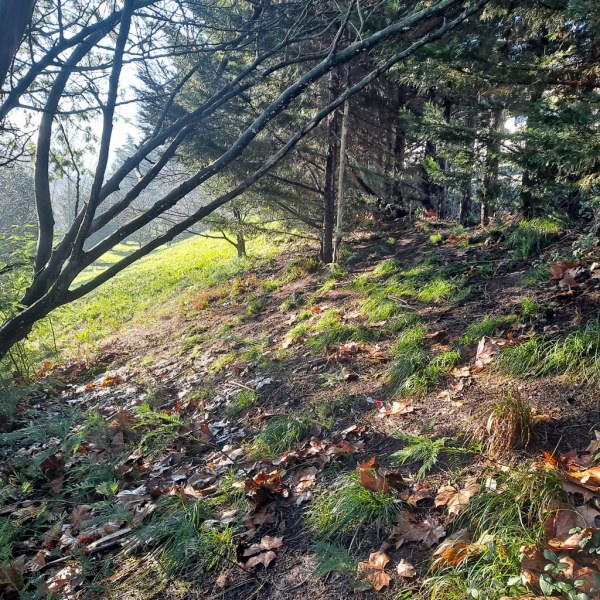 Zona de talud en el parque de La Haye Fouassiere