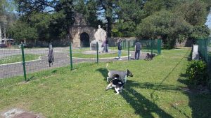 El parque de La Rasilla ha aparecido sin la valla de protección perimetral