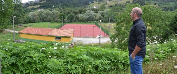 Molleda sobre la Pedreguera de Riocorvo
