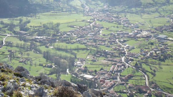 Afectan a grandes áreas de Tarriba y Rivero