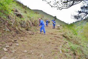 Los planes de empleo permitirán contratar a 40 desempleados