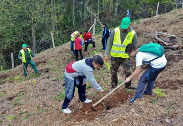 Celebración del Día del Árbol en Los Corrales