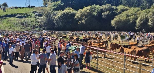 Feria celebrada el año pasado en Mijarojos
