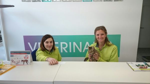 Clínica Veterinaria Babieca nos informó sobre la leishmania