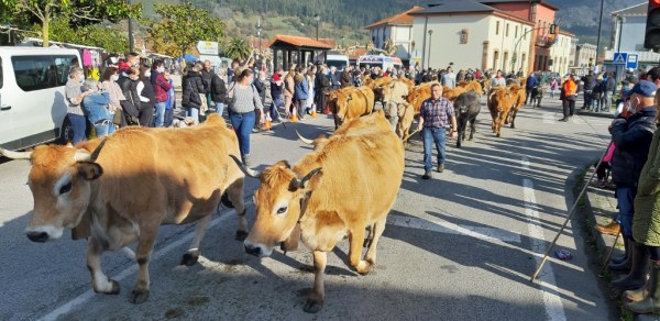 Pasá por las calles de Rivero