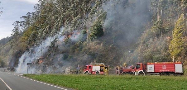 El incendio se mantuvo vivo durante toda la mañana en el monte Gedo
