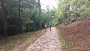 La Consejería de Medio Ambiente y el Ayuntamiento invertirán 206.000 euros