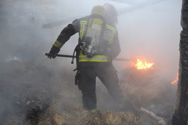 Bomberos trabajando en la extinción.