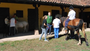 Erika y Geoffry en las Caballerizas de Coo