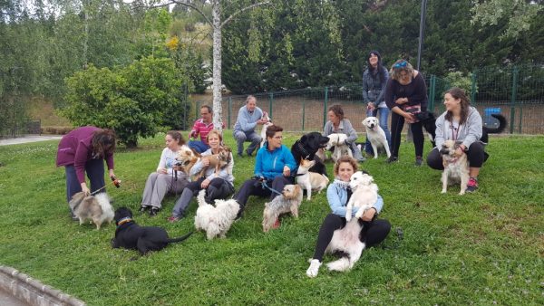 Mascotas y dueños en el parque de La Haye
