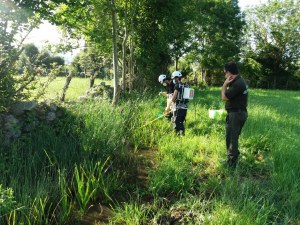 Pesca eléctrica en el Trujal