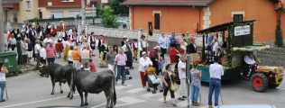 Llamamiento a la participación en el desfile de carretas y carrozas de San Juan