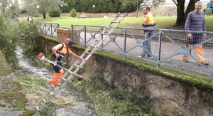 Tareas de limpieza en el cauce del río