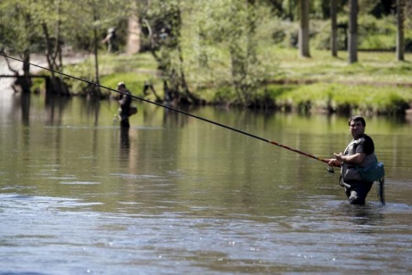 El Besaya y el Saja acogen el XVI Master de Campeones de Pesca