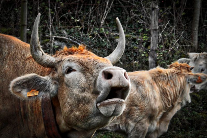 Fotografía ganadora obra de José Manuel Sáez Salces.