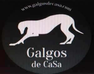 En el dia de San Patricio, Patricia recibió su felicitación