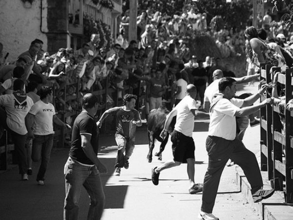 Encierros de Pie de Concha (foto de la página web del Ayuntamiento)
