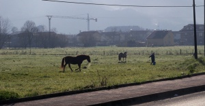 Terrenos de Peña del Campo