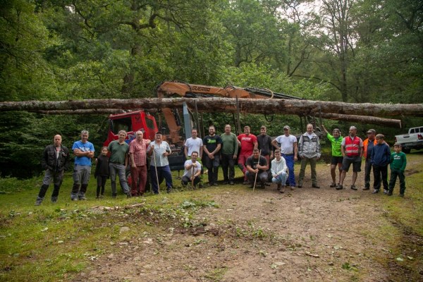 Equipo para la tala de los robles