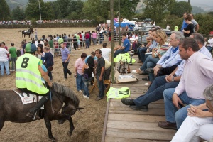 Consejeros y alcalde en la carrera de caballos