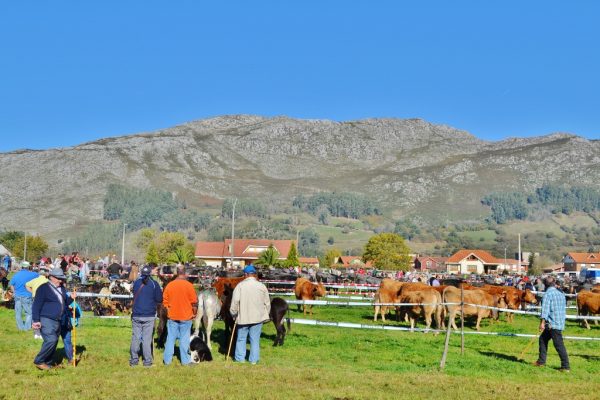 También defiende frente a Torrelavega sus límites territoriales