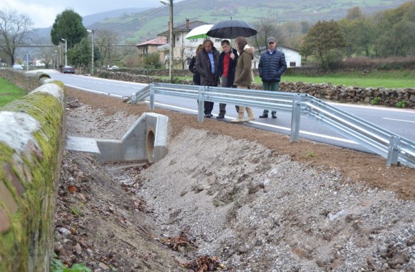 Se ha incrementado la seguridad vial de la calzada afectada por el deterioro ocasionado por las raíces de los árboles