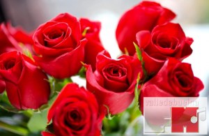 Concurso de Piropos San Valentín 2016, con Floristería Rosal