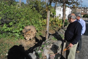 El propietario de la Chopera teme que caigan más árboles