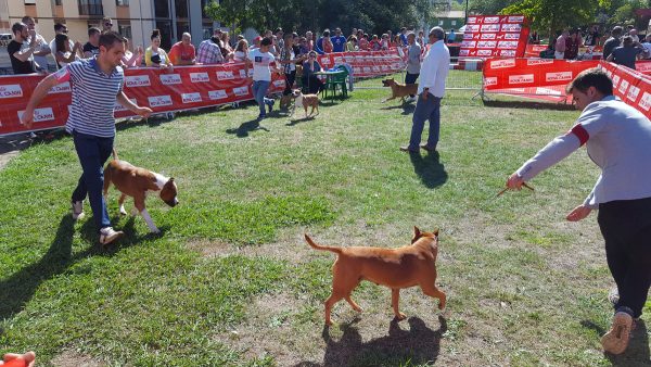 Un momento del concurso