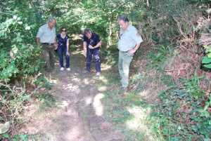 Montes y Patrimonio preparan nuevos informes sobre la calzada romana