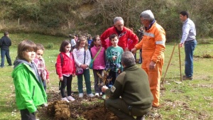 Plantación de árboles en el parque del Tejas