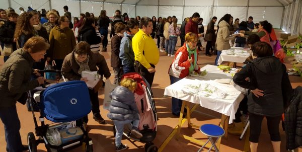 Largas colas en el complejo municipal de deportes para recoger las camisetas y dorsales