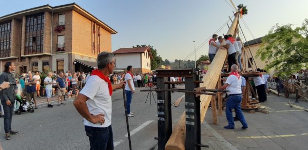 Izado de la Maya 2019