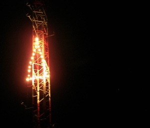 Encendido de nuestro árbol de Navidad